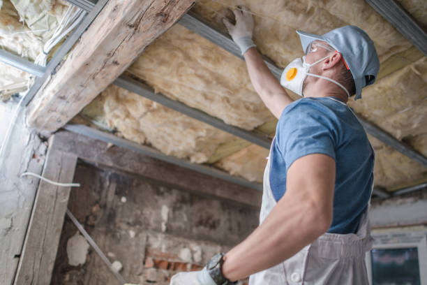 Best Eco-Friendly Insulation in East Rutherford, NJ